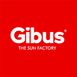 gibus